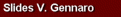 Diapositive Dr. V. Gennaro